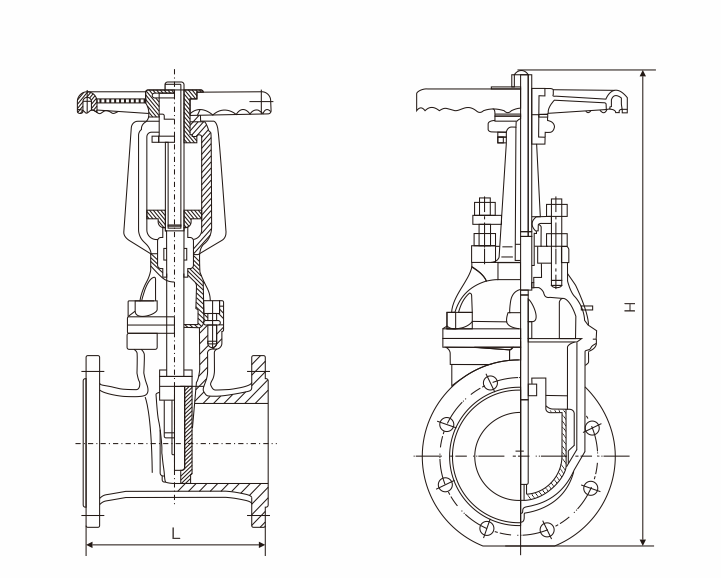 明杆彈性（xìng）座封閘閥(圖1)