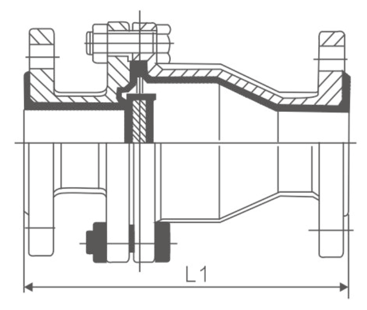 襯氟旋啟式止回閥H44F46(圖1)