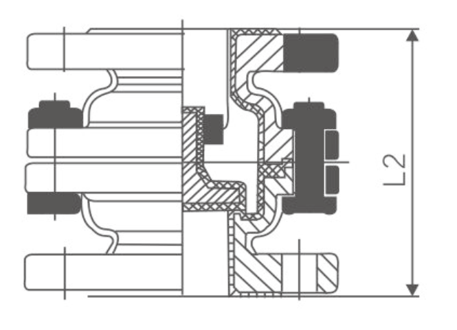 1襯（chèn）氟升降（jiàng）立式止回閥H42F46(圖2)